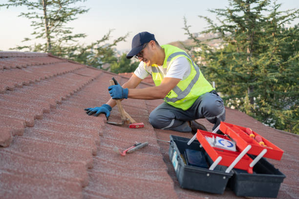 Best Chimney Flashing Repair  in Jackson, CA